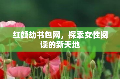 红颜劫书包网，探索女性阅读的新天地