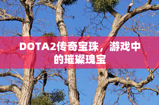 DOTA2传奇宝珠，游戏中的璀璨瑰宝
