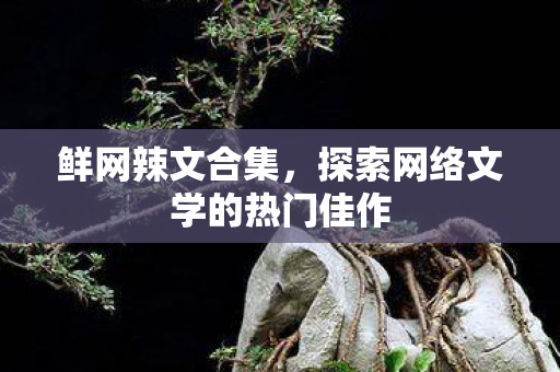 鲜网辣文合集，探索网络文学的热门佳作