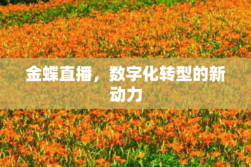 金蝶直播，数字化转型的新动力