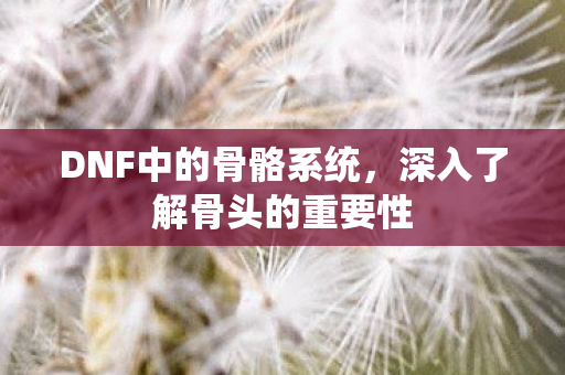 DNF中的骨骼系统，深入了解骨头的重要性