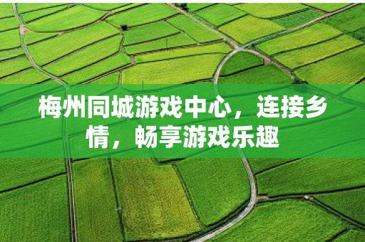梅州同城游戏中心，连接乡情，畅享游戏乐趣