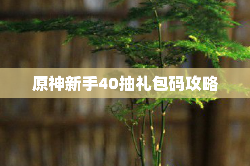 原神新手40抽礼包码攻略
