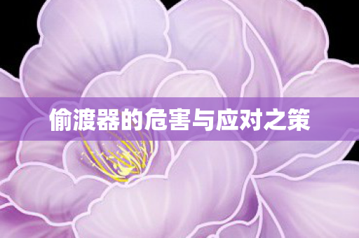 偷渡器的危害与应对之策