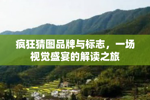 疯狂猜图品牌与标志，一场视觉盛宴的解读之旅