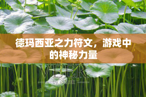德玛西亚之力符文，游戏中的神秘力量