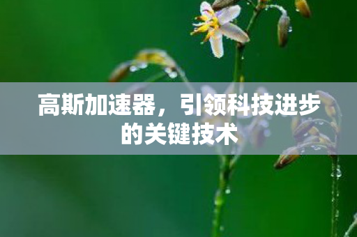 高斯加速器，引领科技进步的关键技术