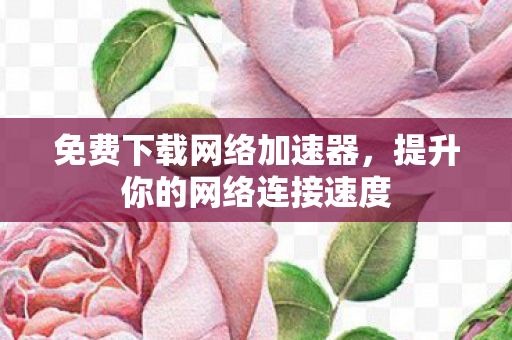 免费下载网络加速器，提升你的网络连接速度