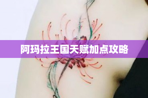 阿玛拉王国天赋加点攻略