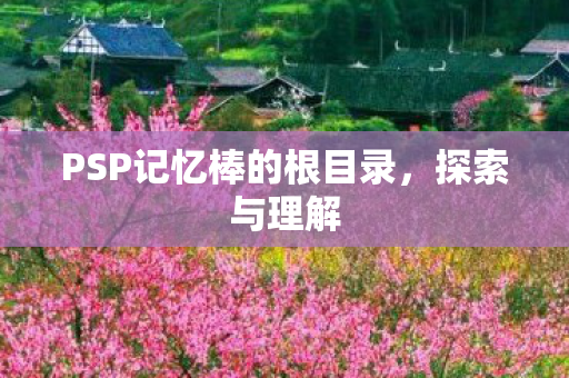 PSP记忆棒的根目录，探索与理解