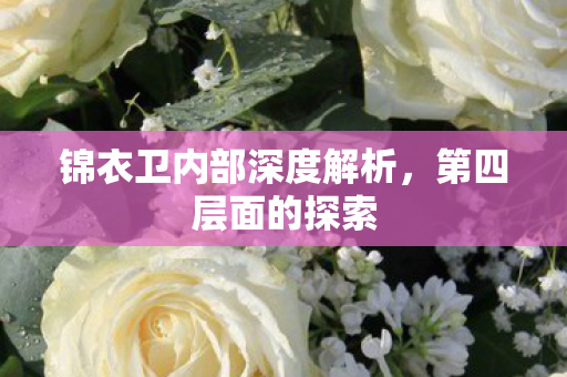 锦衣卫内部深度解析，第四层面的探索