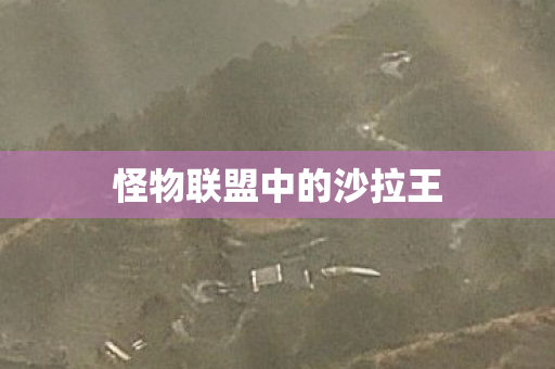怪物联盟中的沙拉王