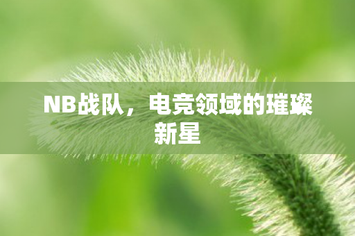 NB战队，电竞领域的璀璨新星