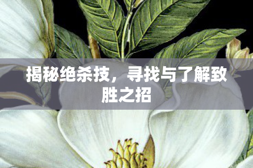 揭秘绝杀技，寻找与了解致胜之招
