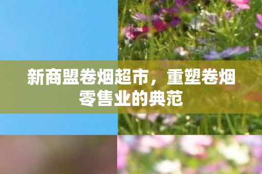 新商盟卷烟超市，重塑卷烟零售业的典范