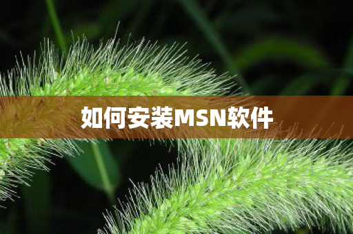如何安装MSN软件