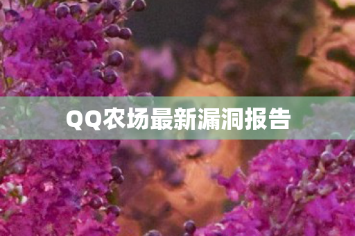 QQ农场最新漏洞报告