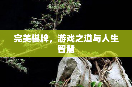 完美棋牌，游戏之道与人生智慧