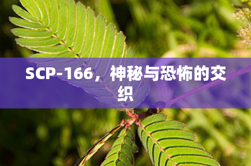 SCP-166，神秘与恐怖的交织