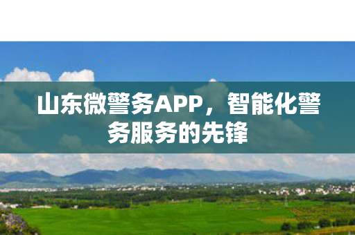 山东微警务APP，智能化警务服务的先锋