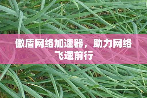 傲盾网络加速器，助力网络飞速前行