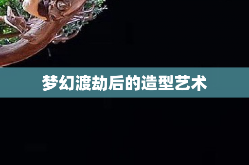 梦幻渡劫后的造型艺术