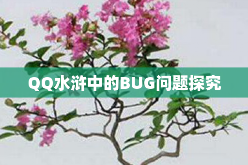 QQ水浒中的BUG问题探究