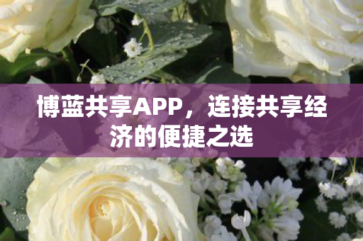 博蓝共享APP，连接共享经济的便捷之选