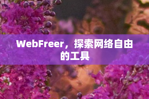 WebFreer，探索网络自由的工具