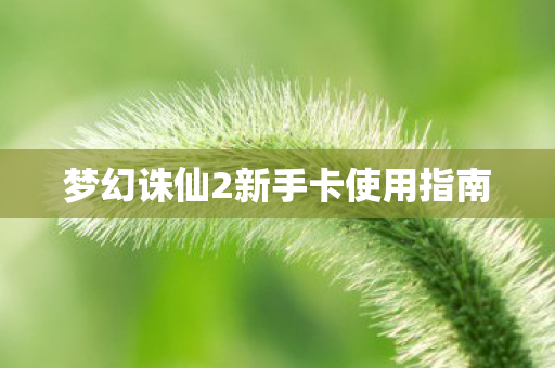 梦幻诛仙2新手卡使用指南