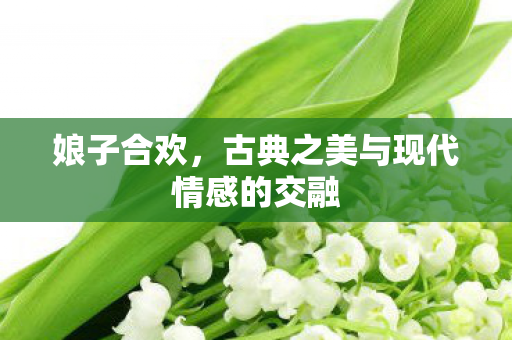 娘子合欢，古典之美与现代情感的交融