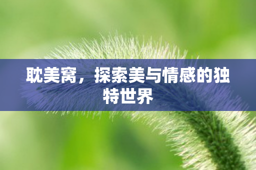 耽美窝，探索美与情感的独特世界