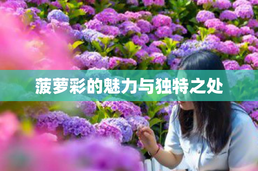 菠萝彩的魅力与独特之处