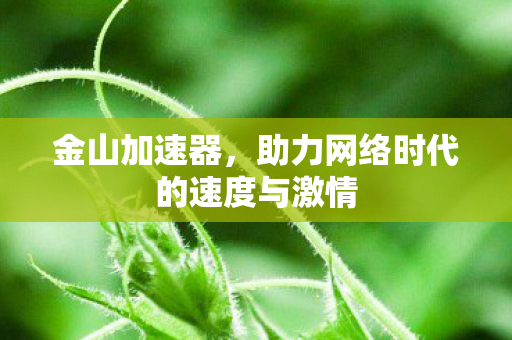 金山加速器，助力网络时代的速度与激情