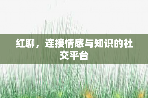 红聊，连接情感与知识的社交平台