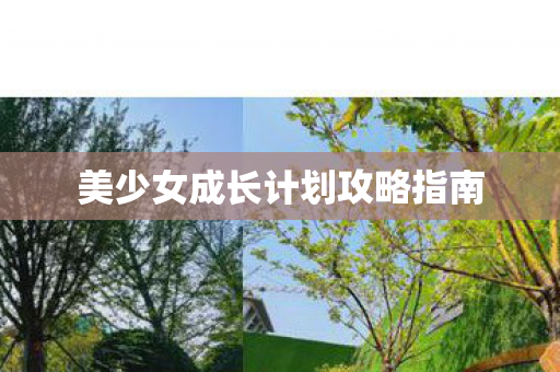 美少女成长计划攻略指南