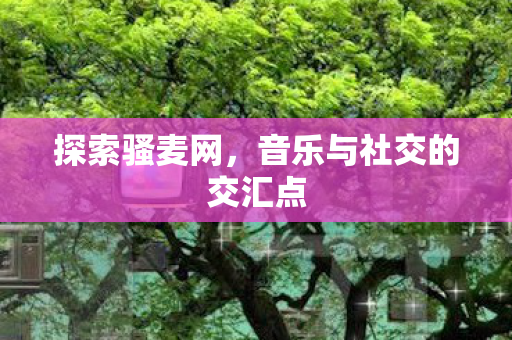 探索骚麦网，音乐与社交的交汇点
