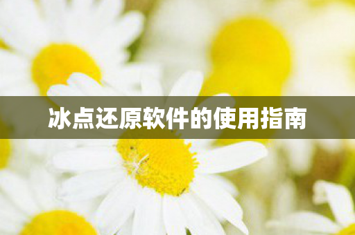 冰点还原软件的使用指南