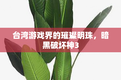 台湾游戏界的璀璨明珠，暗黑破坏神3
