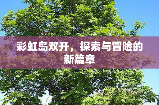 彩虹岛双开，探索与冒险的新篇章