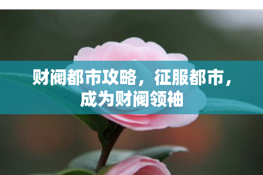 财阀都市攻略，征服都市，成为财阀领袖