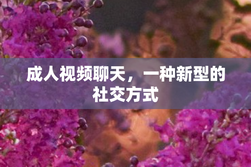 成人视频聊天，一种新型的社交方式