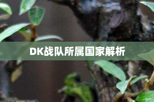 DK战队所属国家解析