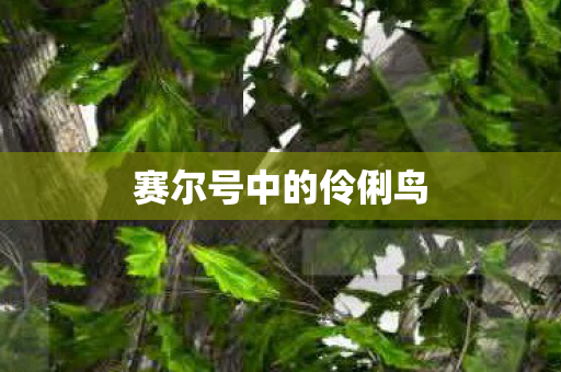 赛尔号中的伶俐鸟