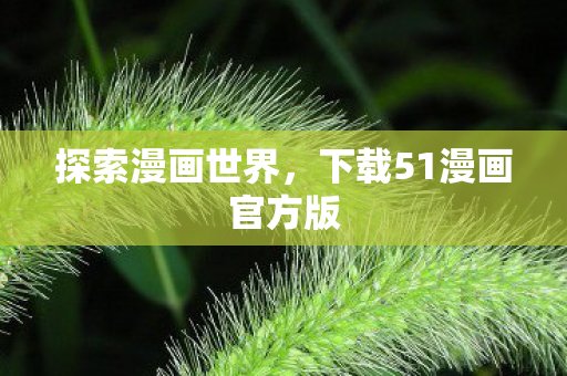 探索漫画世界，下载51漫画官方版