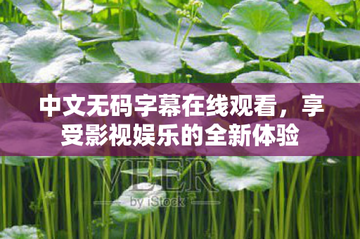 中文无码字幕在线观看，享受影视娱乐的全新体验
