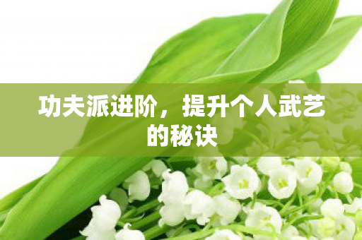 功夫派进阶，提升个人武艺的秘诀