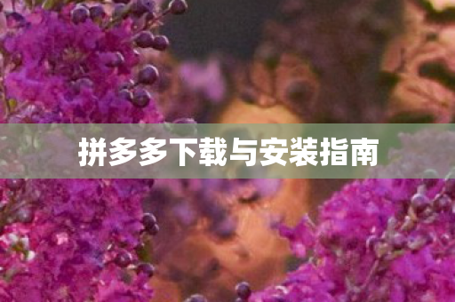 拼多多下载与安装指南