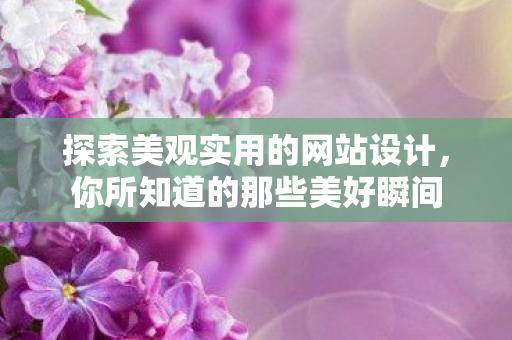 探索美观实用的网站设计，你所知道的那些美好瞬间