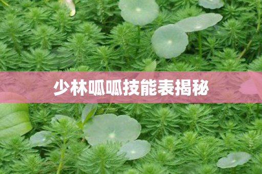 少林呱呱技能表揭秘